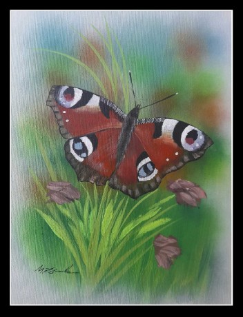 Motýl - akrylová malba - Autor Marek Zimka 0424 (2)