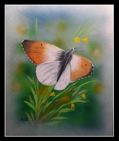 Motýl - akrylová malba - Autor Marek Zimka 0424 (3)