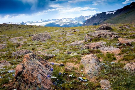 Náhorní planiny v NP Rocky Mountain - Foto Ladislav Hanousek 0424