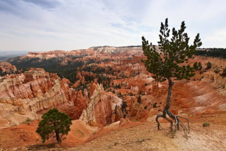 NP Bryce Canyon - eroze okrajů kaňonu - Foto Ladislav Hanousek 0424