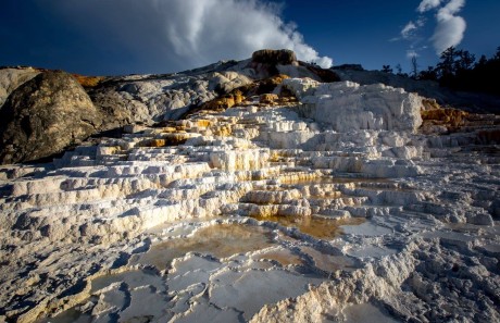 Yellowstone - Upper Terraces Area u Mammoth Hot springs - Foto Ladislav Hanousek 0624