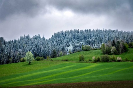 Okolí Námestova - kontrasty zimy a jara - Foto Petr Kovář 0524
