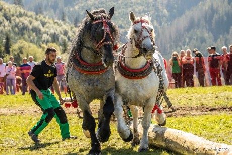 Mistrovství Slovenska v tahu s koňmi - Foto Jozef Pitoňák 0924 (5)