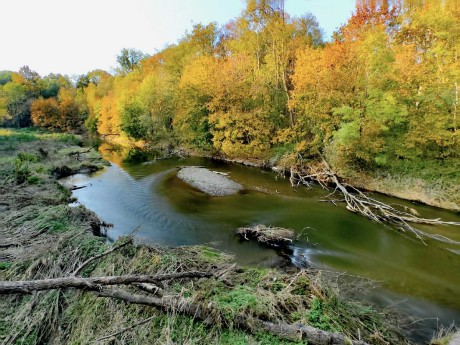 Krásné podzimni Pomoravi - Foto Marie Vykydalová 1024 (3)