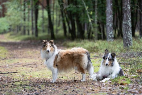 Venčení v přírodě - Foto Jiří Křivánek 1125 (7)