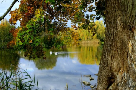 Spolu - Foto Pavel Balazka 1025
