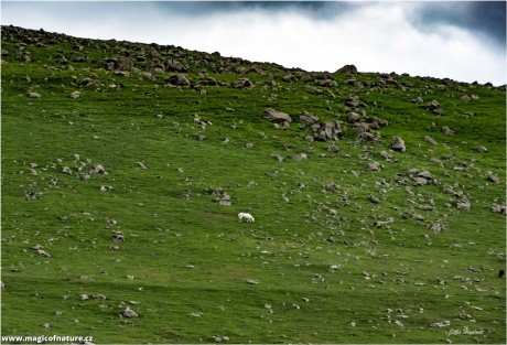 Gruzie - Foto Jitka Havlová 1125