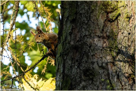 Jsi tam - Foto Jitka Havlová 1025