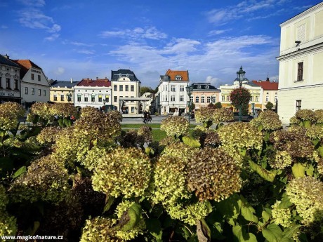 V Karviné - Foto Marie Vykydalová 1025 (2)