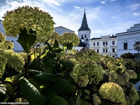 V Karviné - Foto Marie Vykydalová 1025 (6)