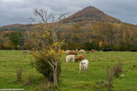 Podzimní toulání - Foto Petr Germanič 1025 (2)