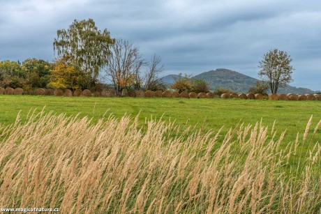 Podzimní toulání - Foto Petr Germanič 1025 (3)