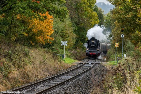 Den plný lokomotiv - Foto Petr Germanič 1025 (2)