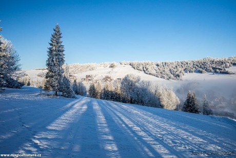 První únorové ráno - Foto Jozef Pitoňák 0226 (3)