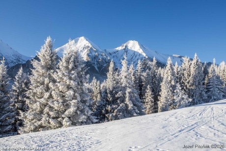 První únorové ráno - Foto Jozef Pitoňák 0226 (10)