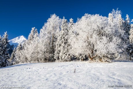 První únorové ráno - Foto Jozef Pitoňák 0226 (11)