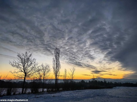 Lednové ráno - Skoky u Lipníku nad Bečvou - Foto Marie Vykydalová 0126 (3)