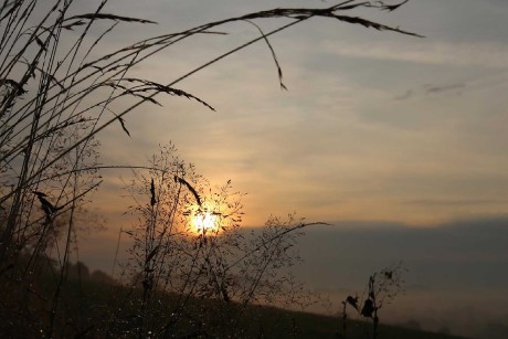 Třpytící se poklad - Foto Irena Wenischová 0226