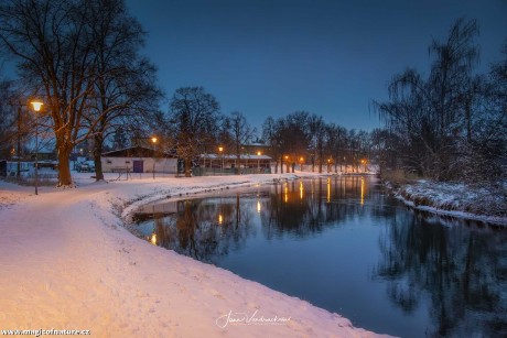 Lednové Čelákovice - Foto Jana Vondráčková 0126 (1)