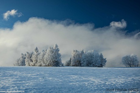 Vládne paní Zima - Foto Jozef Pitoňák 1225 (1)