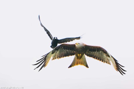 Nebeské setkání - Foto Jana Ježková 0725