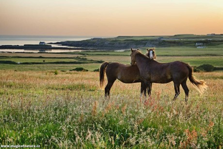 Aberffraw - Wales - Foto Jana Ježková 0725