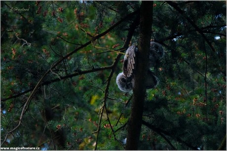 Na douglasce - Foto Jitka Havlová 0326