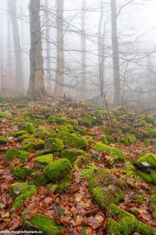 Pod Klíčem - Foto Petr Germanič 1225