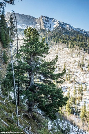 Už i hory svlékají zimní šat - Foto Jozef Pitoňák 0326 (7)