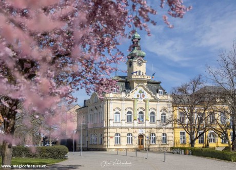 Radnice - Foto Jana Vondráčková 0426