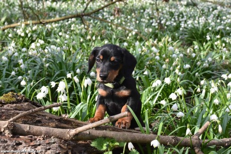 Jmenuji se Benny - Foto Marie Vykydalová 0326 (1)