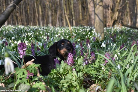 Jmenuji se Benny - Foto Marie Vykydalová 0326 (2)