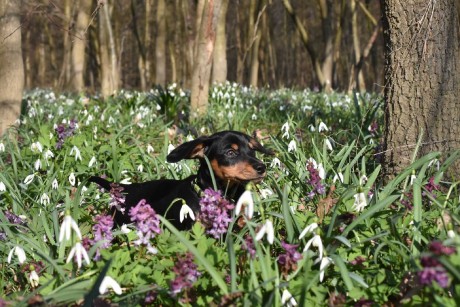 Jmenuji se Benny - Foto Marie Vykydalová 0326 (5)