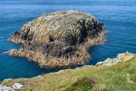 South and North Stack - Holyhead - North Wales - Foto Jana Ježková 0725 (2)
