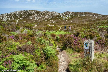 South and North Stack - Holyhead - North Wales - Foto Jana Ježková 0725 (4)