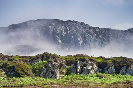 South and North Stack - Holyhead - North Wales - Foto Jana Ježková 0725 (11)