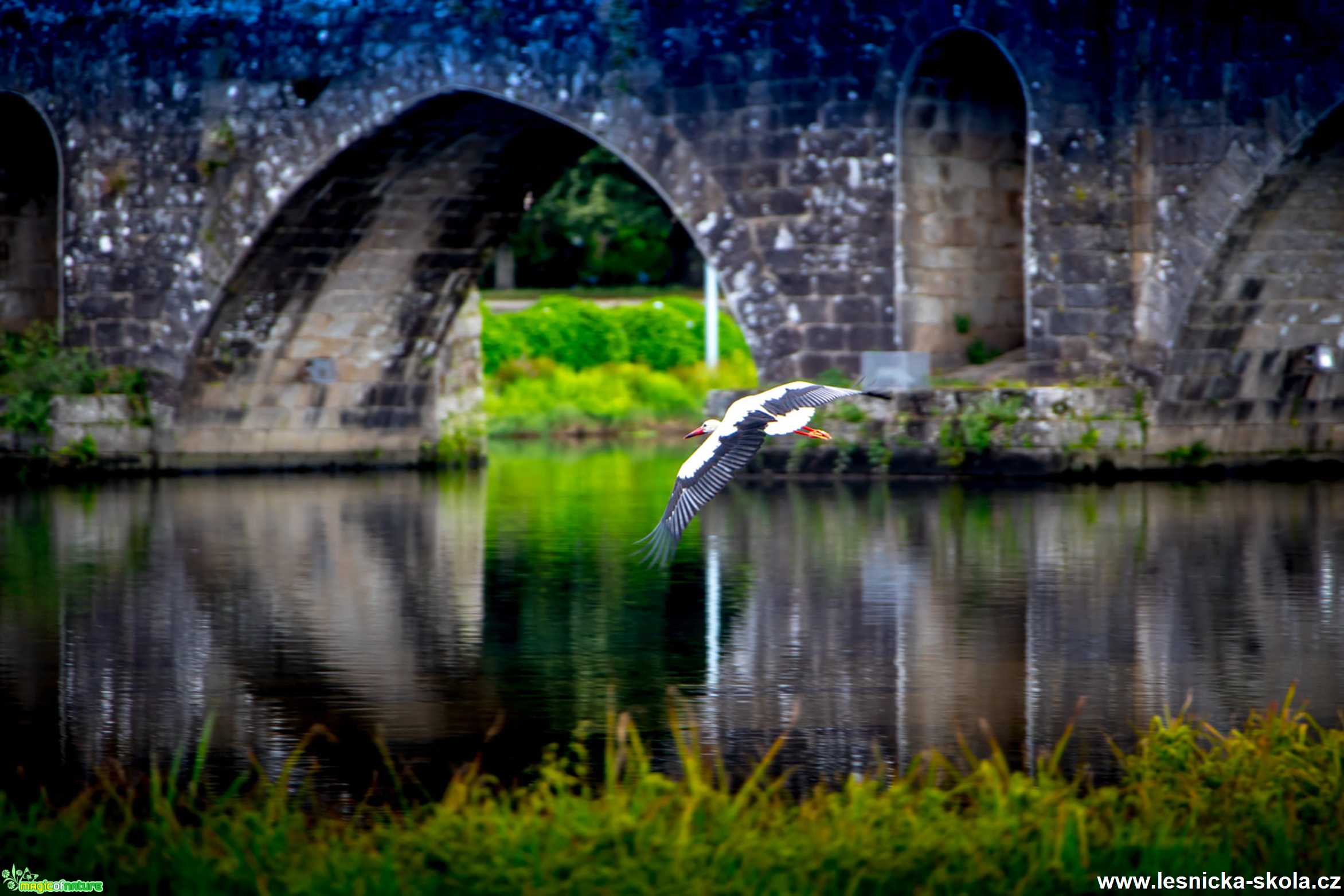 Toulky po Portugalsku - Foto Ladislav Hanousek 0621 (20)