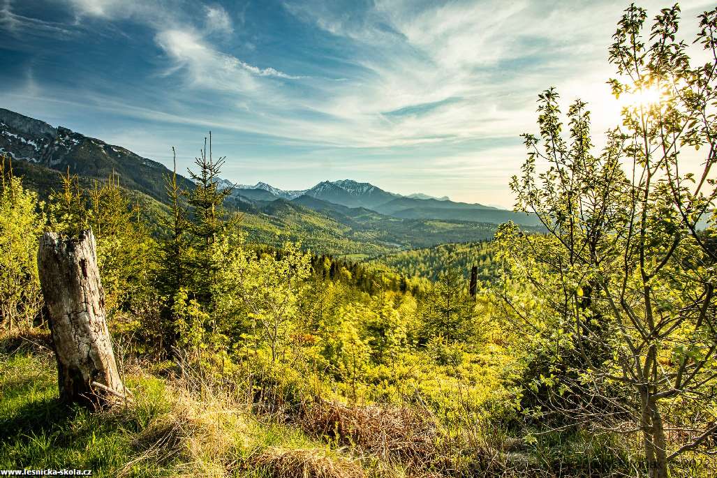 Květen na slovenských horách - Foto Jozef Pitoňák 0522 (12)