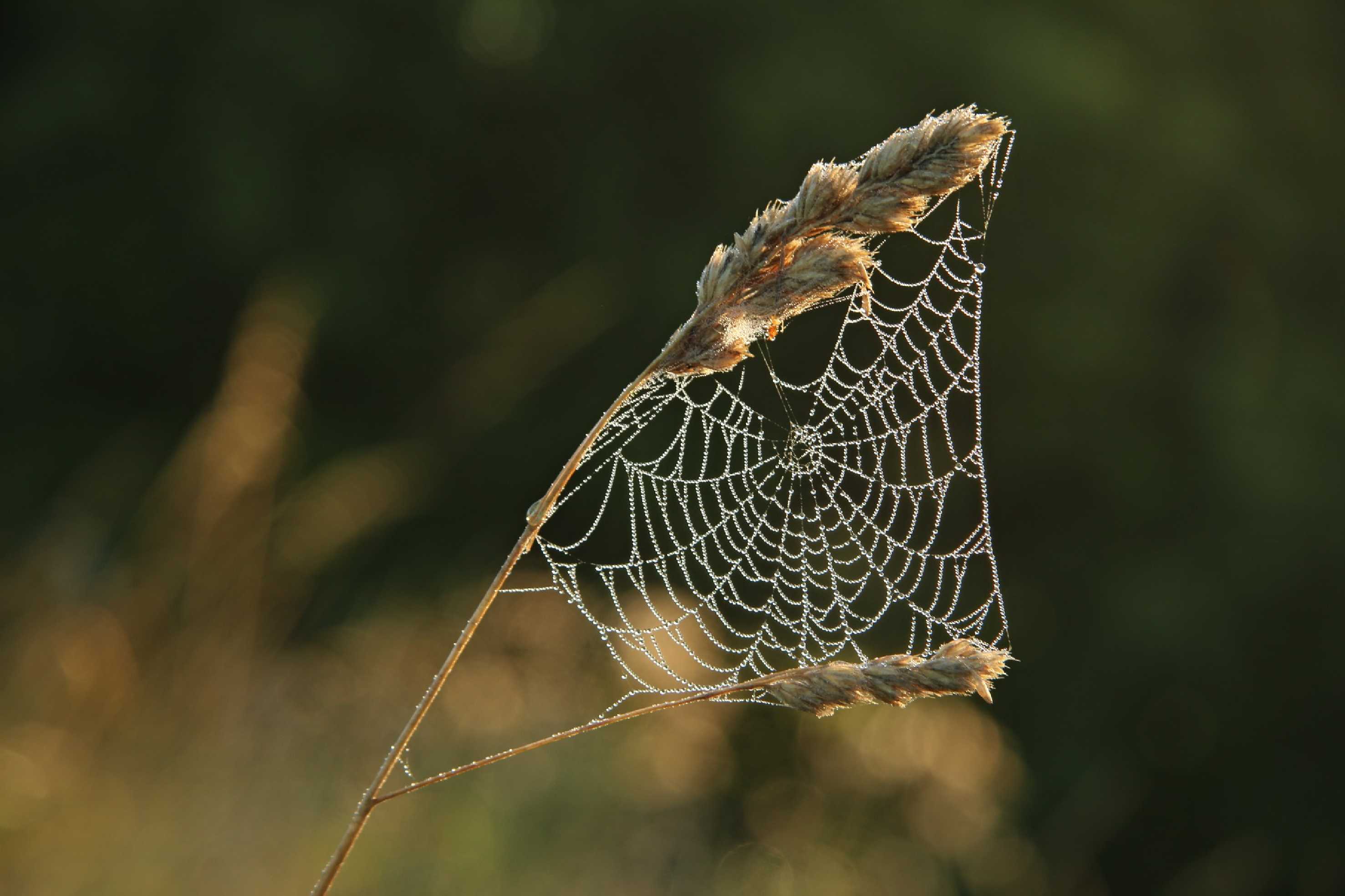 Přírodní klenoty - Foto Ladislav Jonák 0823