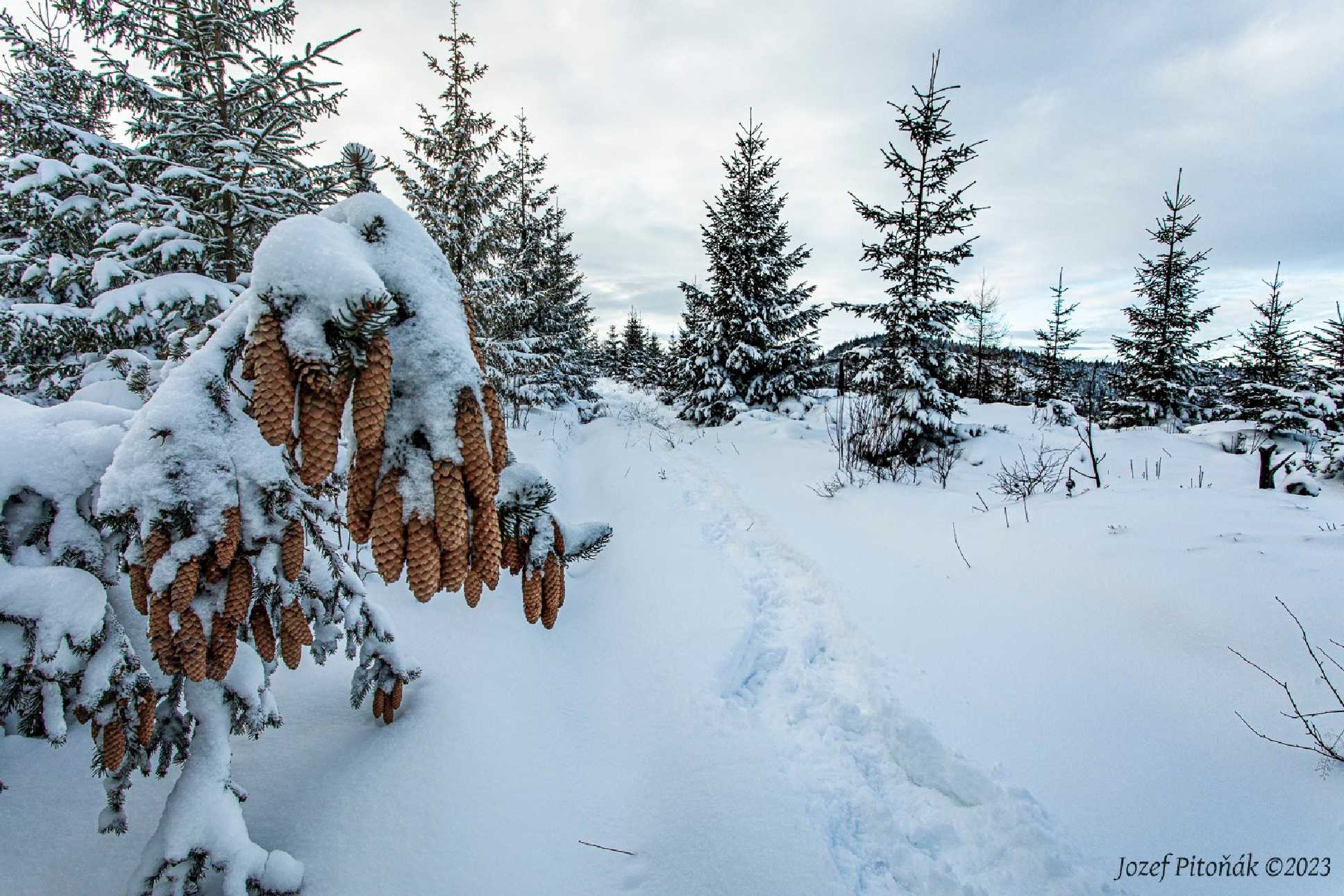 Prosincové hory - Foto Jozef Pitoňák 1223 (8)