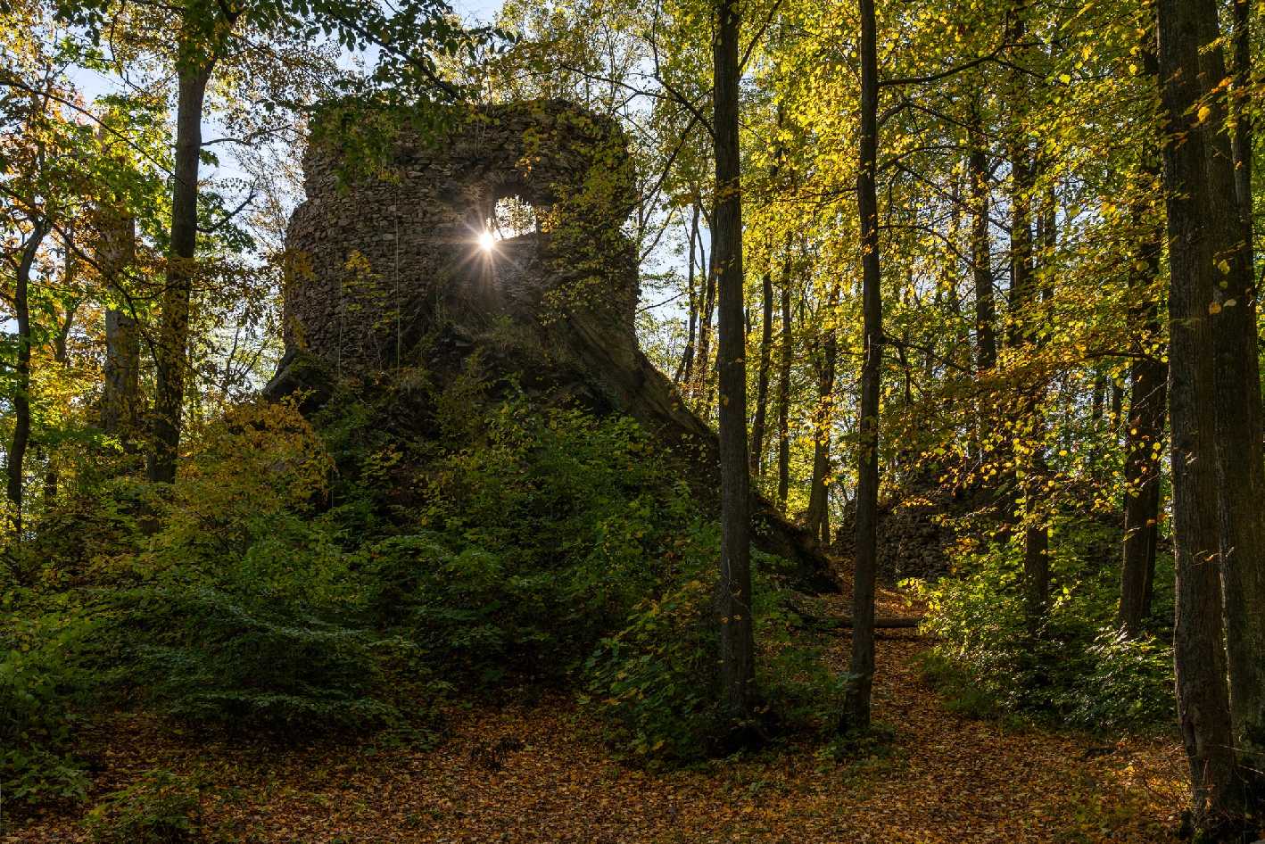 Hamrštejn - Foto Petr Germanič 1023