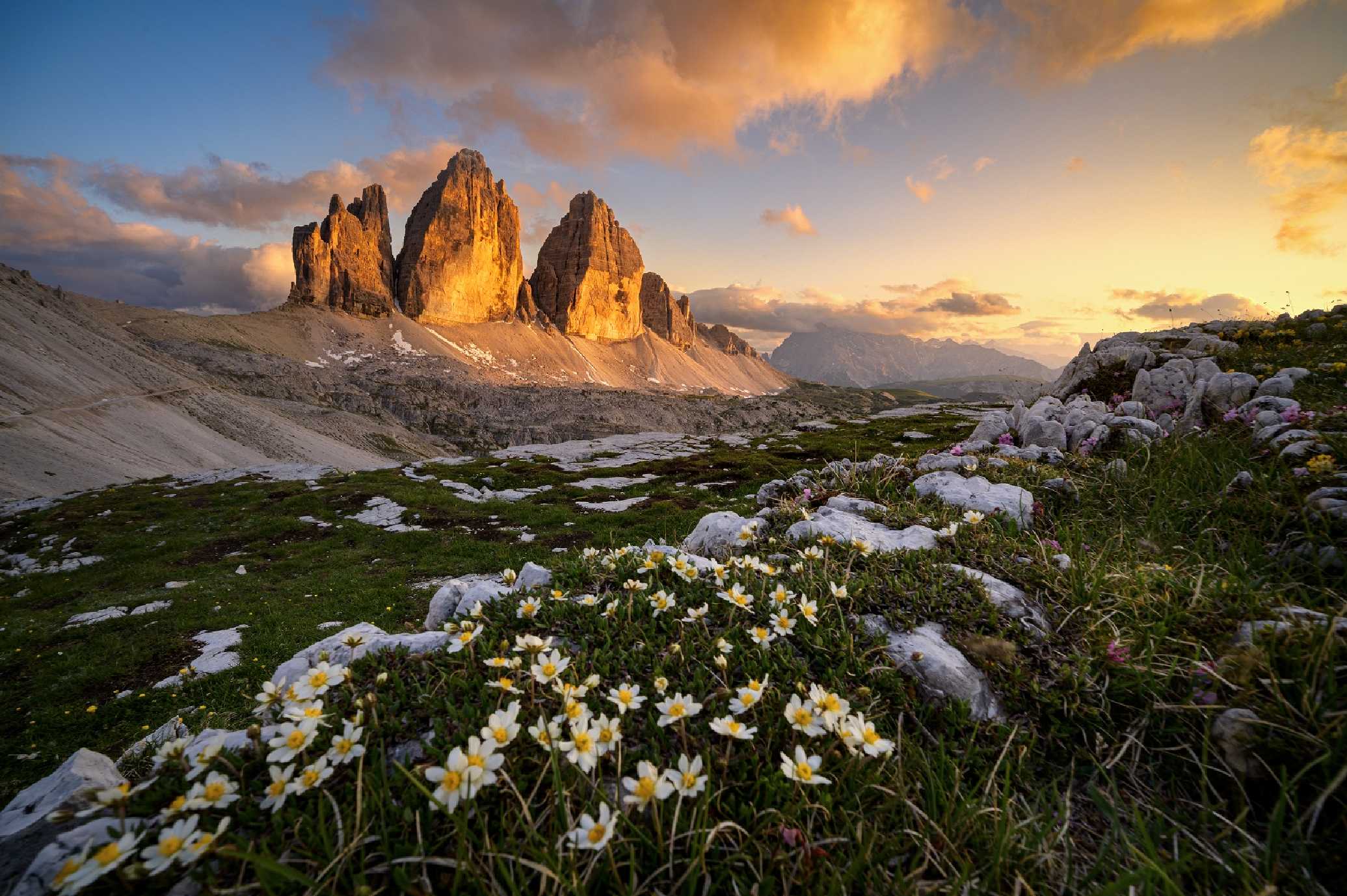 Kvetoucí Tre Cime - Foto Petr Kovář 0224