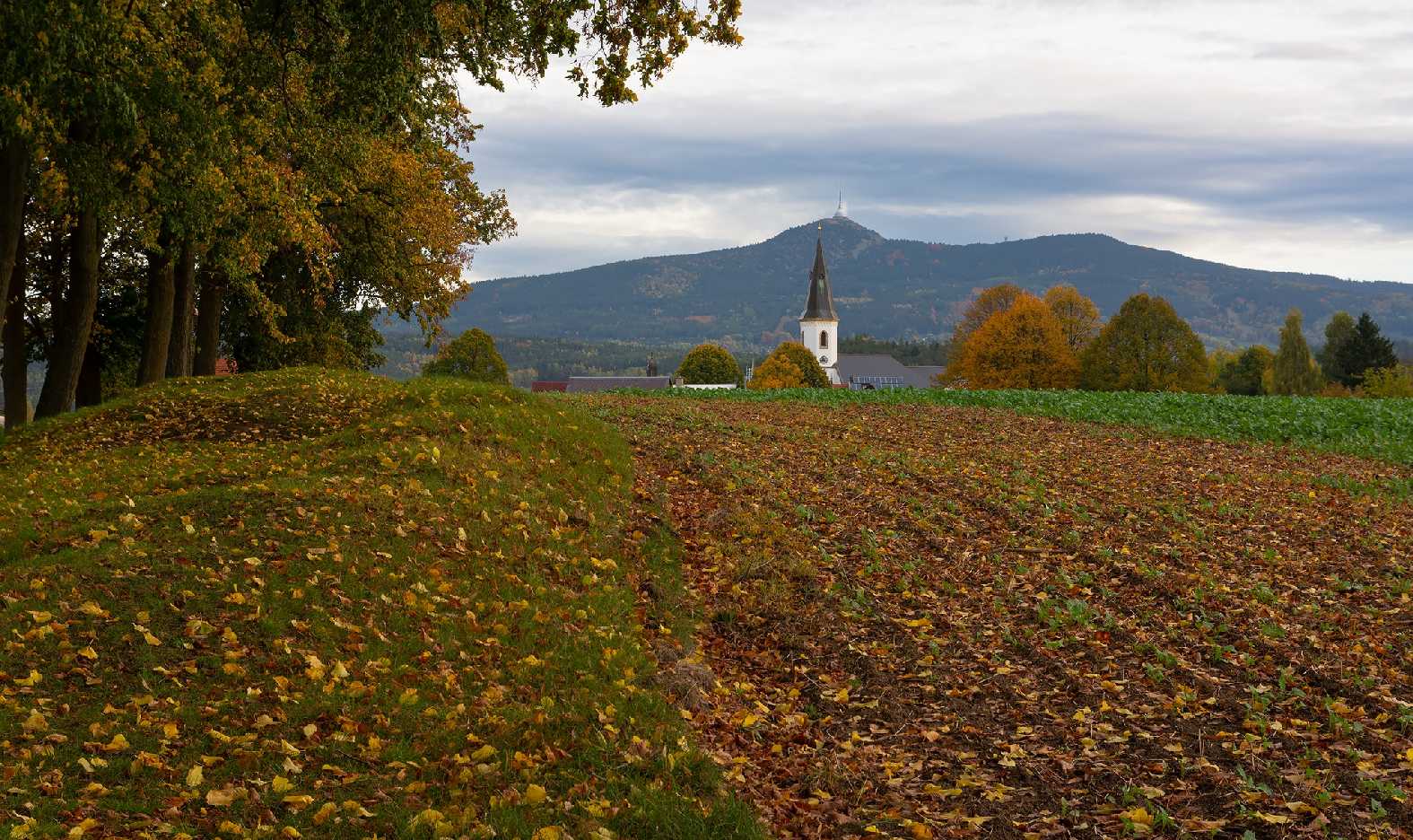 Kostel v Osečné - Foto Jaroslava Jechová 1023