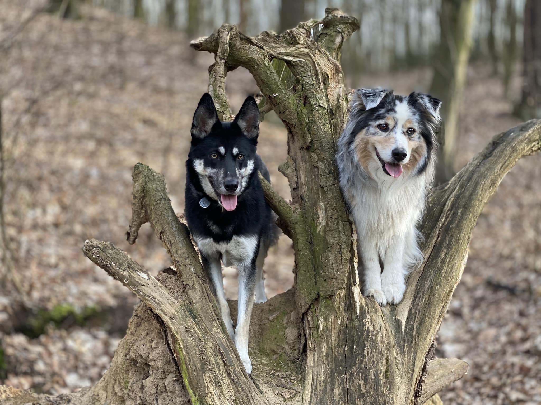 Spolu - Foto Jiří Křivánek 0324