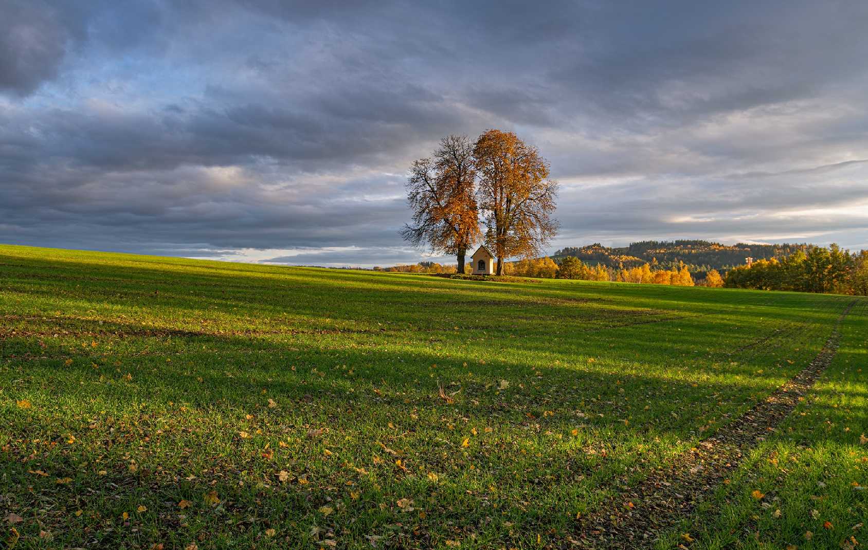 U kapličky na Rádle - Foto Jaroslava Jechová 1123 (1)