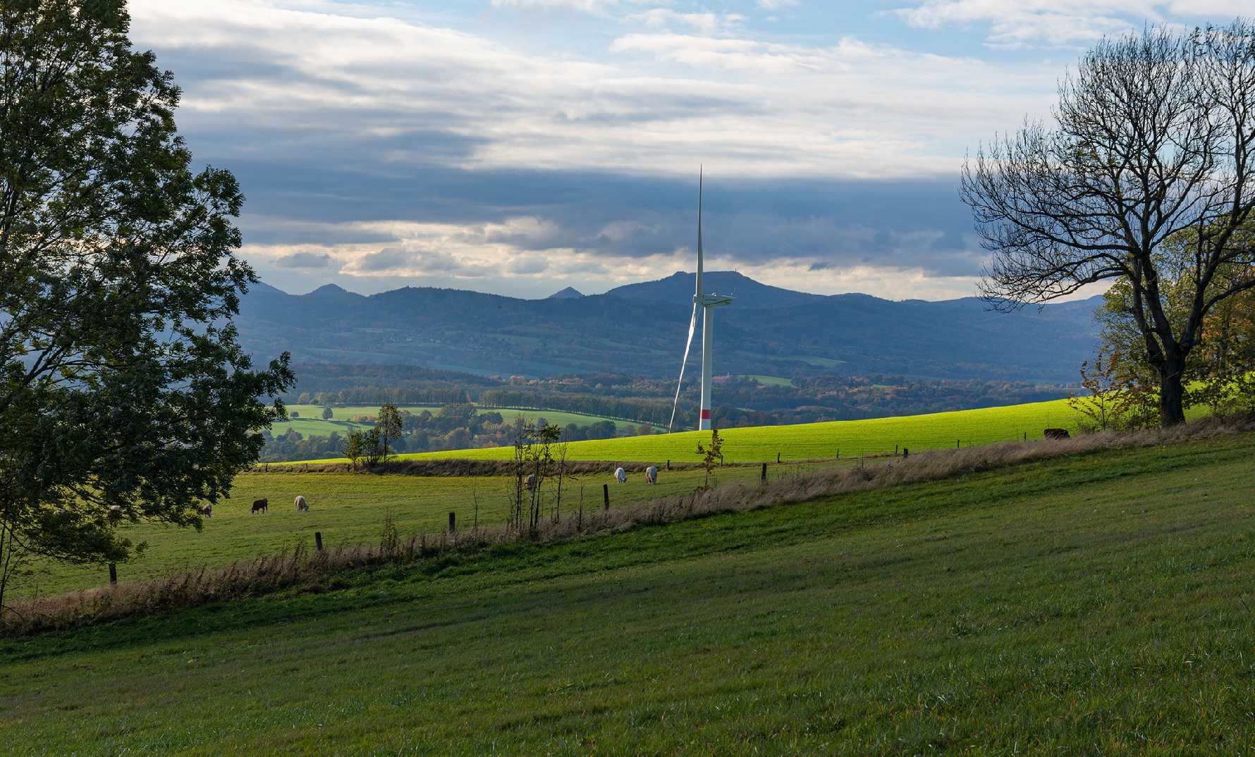 Vítkov u Chrastavy - Foto Jaroslava Jechová 1123 (5)