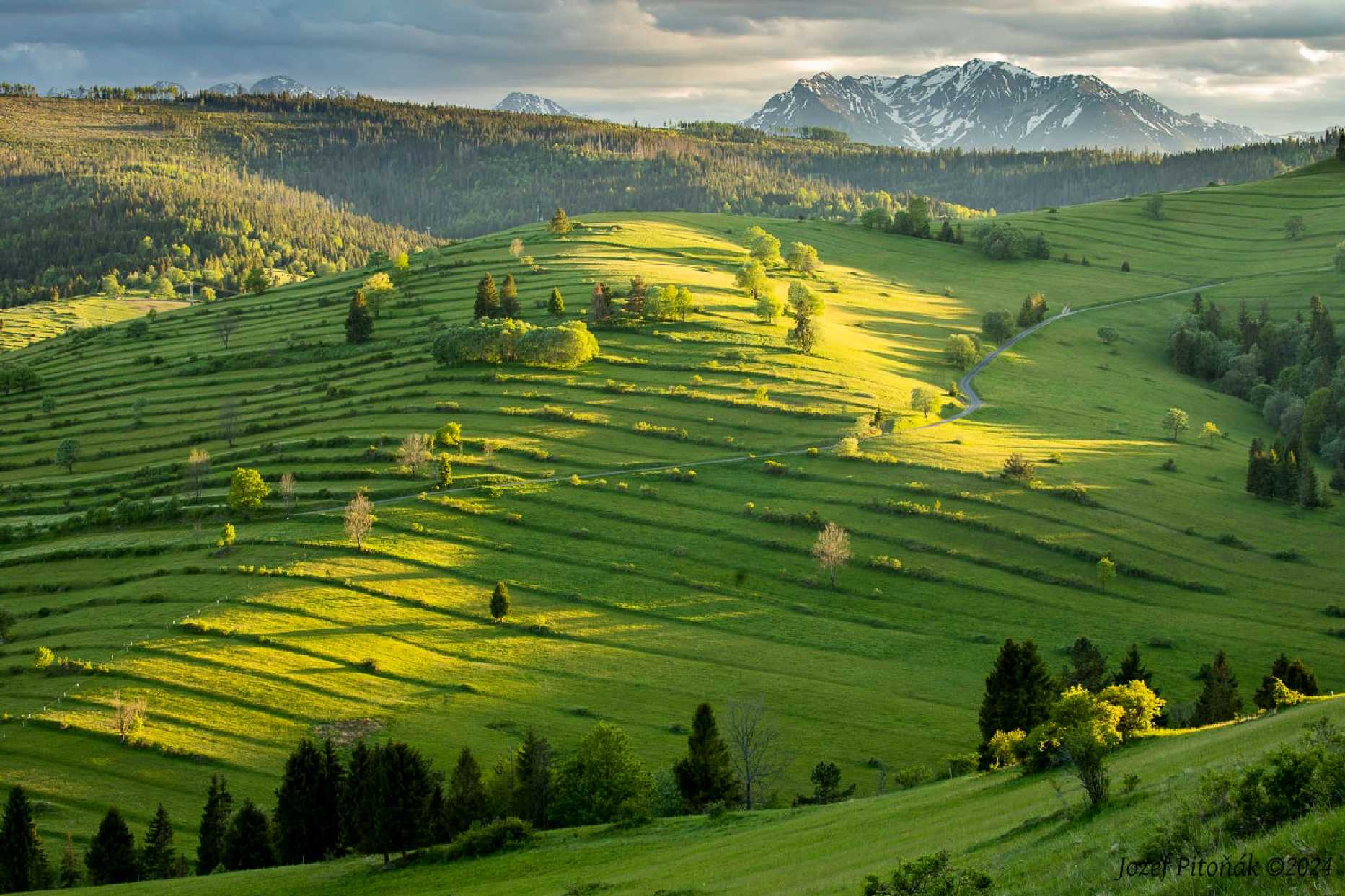 Osturňa pri západe slnka - Foto Jozef Pitoňák 0524 (1)