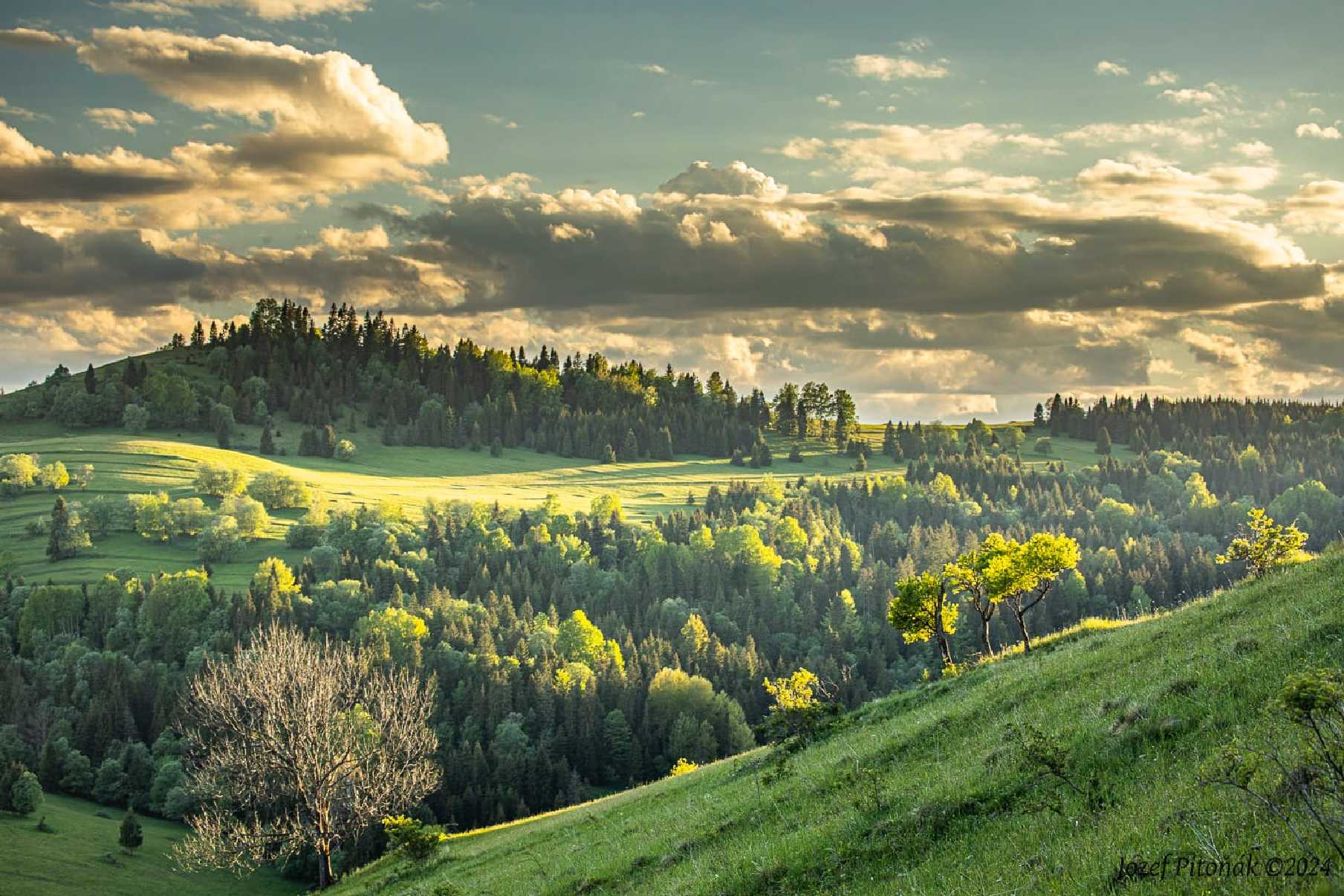 Osturňa pri západe slnka - Foto Jozef Pitoňák 0524 (5)