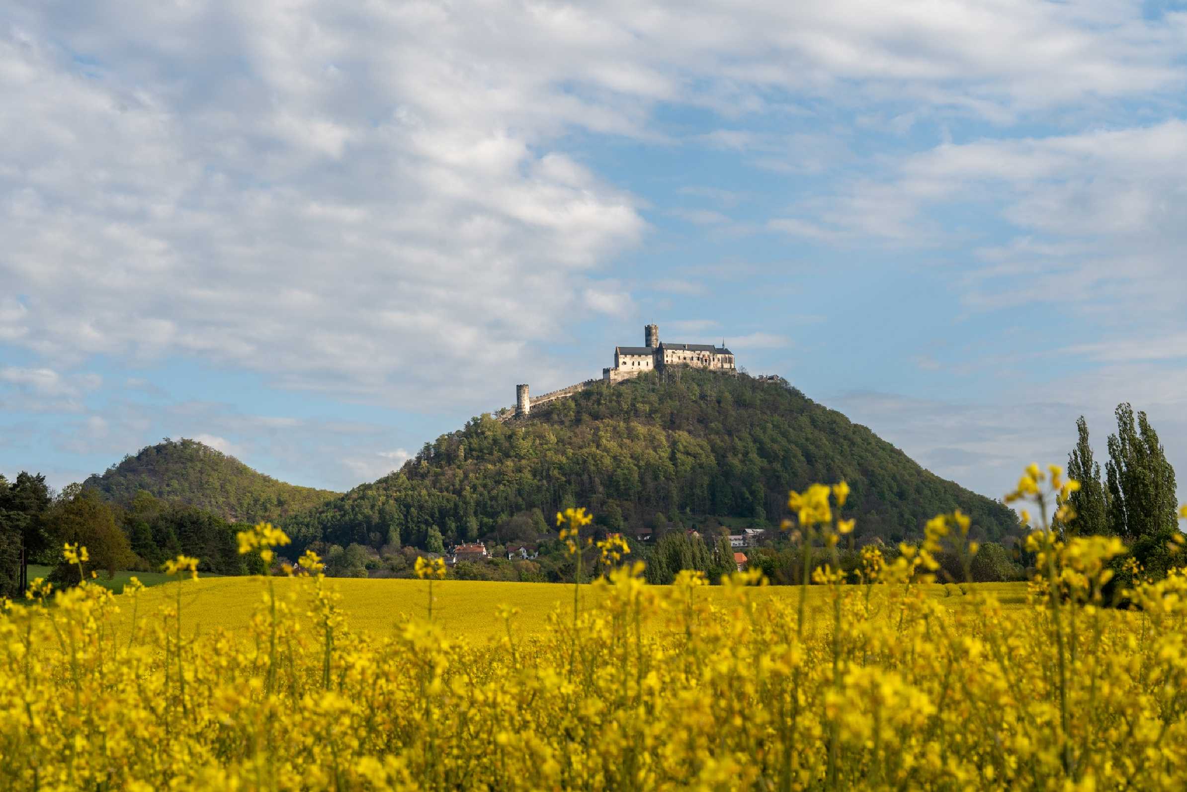 Bezděz - Foto Petr Germanič 0424