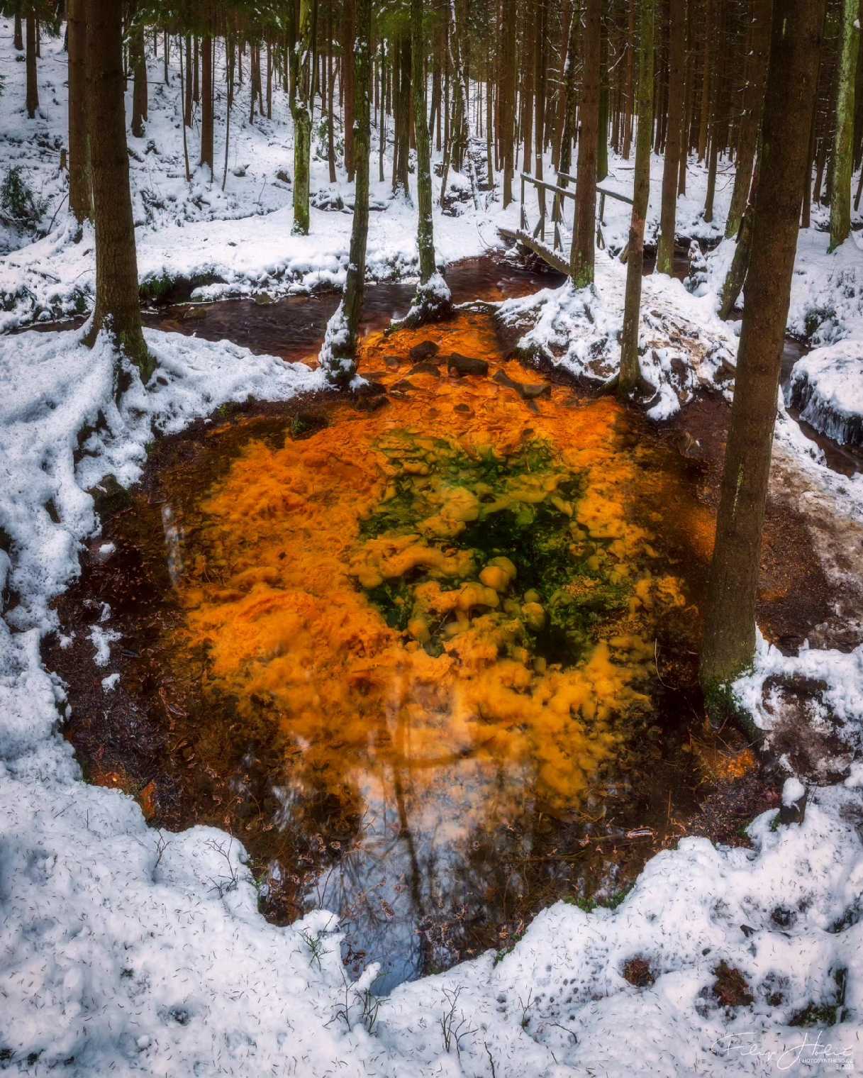 Sirný pramen Lužických hor - Foto Filip Holič 0324